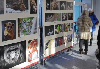 Выставку с портретами животных открыли на вокзале в Новосибирске