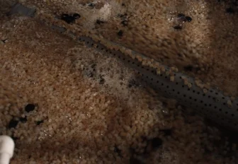 Открытие завода кормов для форели под Новосибирском перенесли на 2026 год