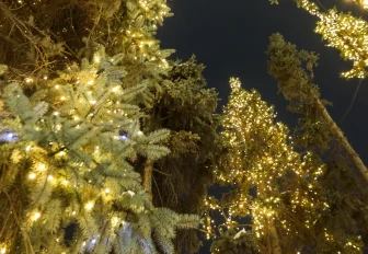 Растут настроение и траты: как готовятся к Новому году новосибирцы