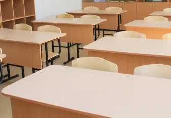 Две школы закрыли на карантин из-за ОРВИ в Новосибирской области