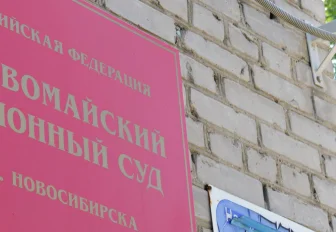 Сибирячка придумала себе детей в Москве и угодила в колонию