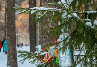 Декабрь в пределах нормы прогнозируют в Новосибирске синоптики