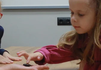 Уроки с милыми тараканами проводят для детей в Новосибирске: смотрим фото