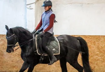 «Лошади — чистый лист бумаги»: как обучают верховой езде в Новосибирске