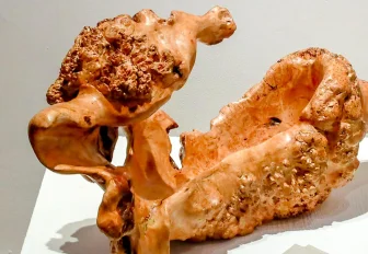 Красота леса: волшебные изделия из дерева выставили в ЦК19