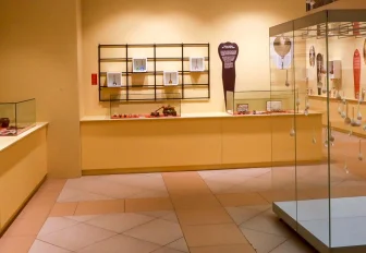 Многодетные семьи смогут бесплатно посещать музеи и выставки Новосибирска