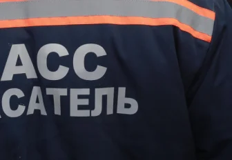 Застрявшему в вентиляции коту звонили по ватсапу новосибирские спасатели