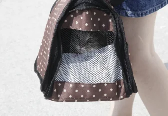 Афиша выходных: русский костюм, экзотические растения и раздача животных