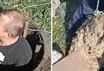 Гусинобродское шоссе затопило в Новосибирске