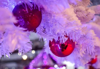 Стала известна цена билетов в ледовый городок на набережной Новосибирска