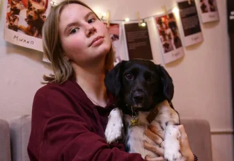 Новосибирское пёсокафе Dog House собирает деньги на ремонт