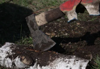 Не получив кредита, новосибирец вернулся в банк с топором