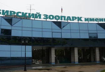 Несите тыквы: ящик для сбора урожая поставили у главного входа в зоопарк