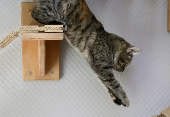 Если вы пропустили: спецоперация с Су-24, аэростат и ночной гиперлапс