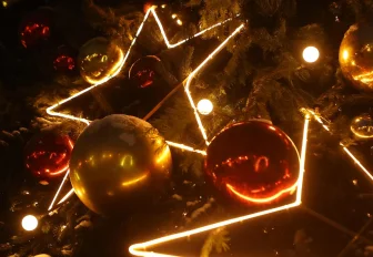 Главную городскую ёлку высотой 21 метр установят в Театральном сквере