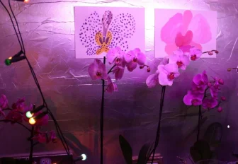 Площадки фестиваля «48 часов Новосибирск» в 2ГИС: карта и описание