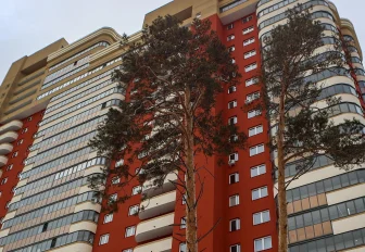 2 миллиона квадратов жилья построили в регионе в 2025 году