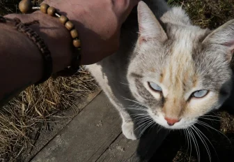 Как бороться с паникой и тревожностью: шесть советов от психологов МЧС