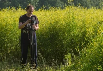 Фильм про пчеловода и учительницу снимает преподаватель НГТУ НЭТИ