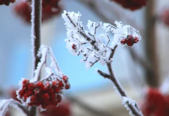 Воздушная масса с запада принесёт в Новосибирск потепление в выходные