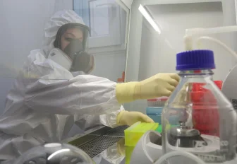 Роспотребнадзор изучает новый коронавирус из Бразилии — опасен ли он