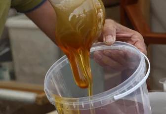 Пасечники освятят свой урожай на Медовом Спасе у ГПНТБ