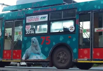 Троллейбусы со львом и медведем появились в Новосибирске
