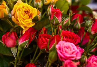 Как продлить жизнь букету в вазе