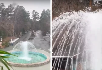 Первый фонтан: водные струи забили в Новосибирском зоопарке