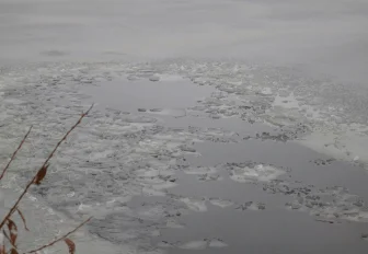 Сотрудник МЧС спас братьев-рыбаков на озере под Новосибирском