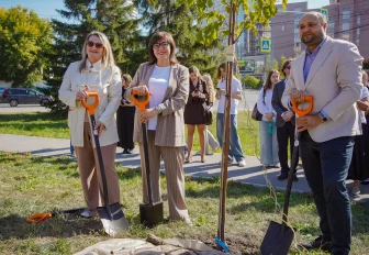 Театральная аллея из лип появилась в центре Новосибирска