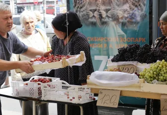 Онлайн-опрос об уличной торговле запустили в Новосибирске