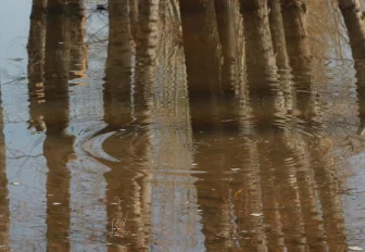 40 приусадебных участков в Новосибирской области оказались под водой