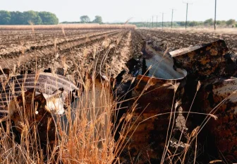 Режим ЧС из-за засухи ввели в шести районах Новосибирской области