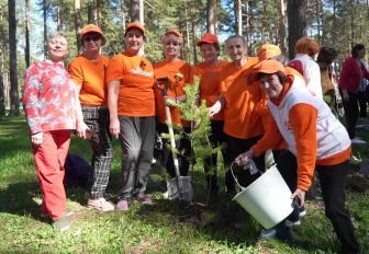 «Сад памяти» из сибирских сосен высадили на празднике в «Обских зорях»
