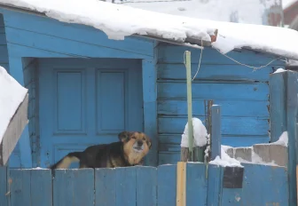 Больше 700 пожарных рейдов провели в СНТ и частном секторе Новосибирска