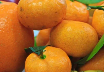 Блюда из мандаринов: три новогодних рецепта, которые удивят гостей