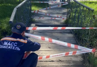 Попавшую в ловушку пешеходного моста девочку спасли в Новосибирске