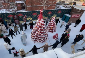 Новогоднюю арт-резиденцию с необычными ёлками открыли на Каинской