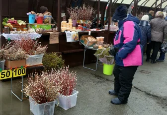 Праздник близко: в Новосибирске начали торговать вербой