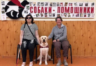 Собак-поводырей подгонят под ГОСТ: комментарий эксперта из Новосибирска