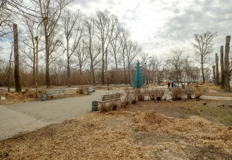 Живую изгородь из кустарников высадят вдоль аллеи имени Горбаня