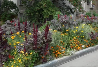 Выбираем лучшую клумбу Новосибирска: Бориса Богаткова, 219
