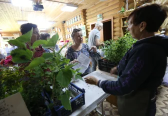 «Дачная весна — 2026»: новосибирцев зовут на мастер-классы по посевам