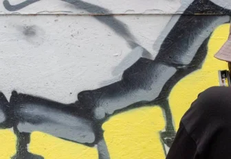 Граффити со знаменитыми котами нарисуют в Центральном парке Новосибирска