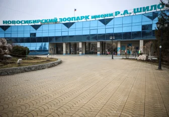 В Новосибирский зоопарк впервые прилетел желтоголовый дятел