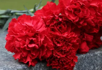 Мэр Кудрявцев выразил соболезнования в связи со смертью Ивана Индинка