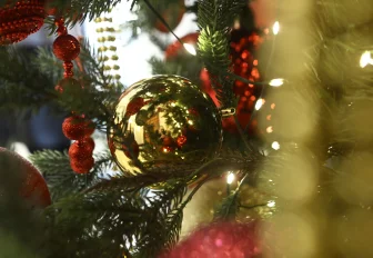 Мальчик из Новосибирской области попал за кулисы цирка благодаря полпреду