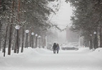 Метели со штормовым ветром идут в Новосибирскую область
