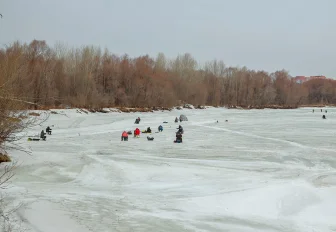 Учёные назвали самое рыбное место на Новосибирском водохранилище 